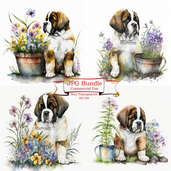 Saint Bernard Puppy Clipart  Digital Image Downloads for Commercial Use - Spring Flowers and Gardening Theme