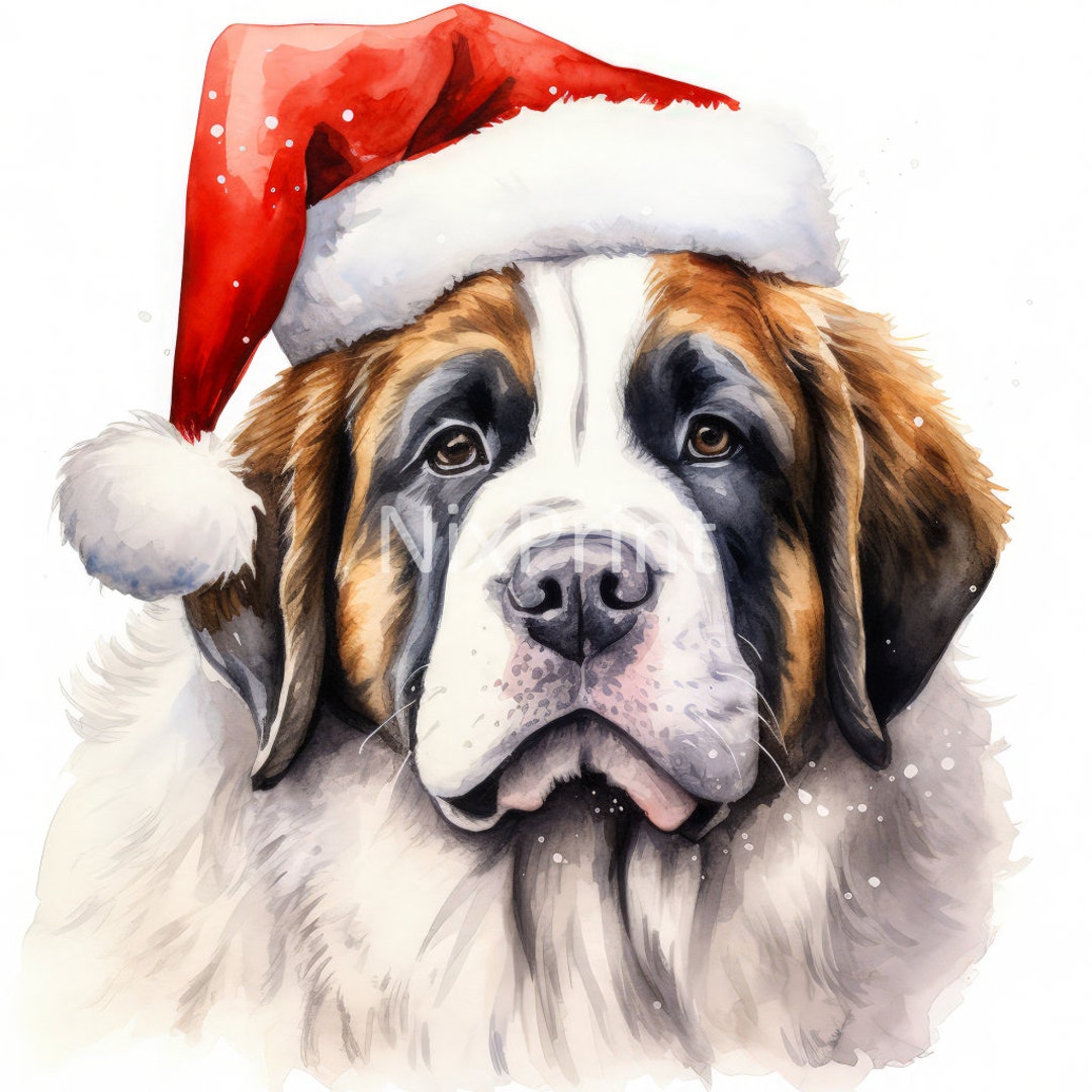 Saint Bernard Clipart, Puppy in Santa Costume, Dog Painting, Dog