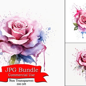 Rose Paint Splash Watercolor Digital Clipart Digital Paper Crafting ...