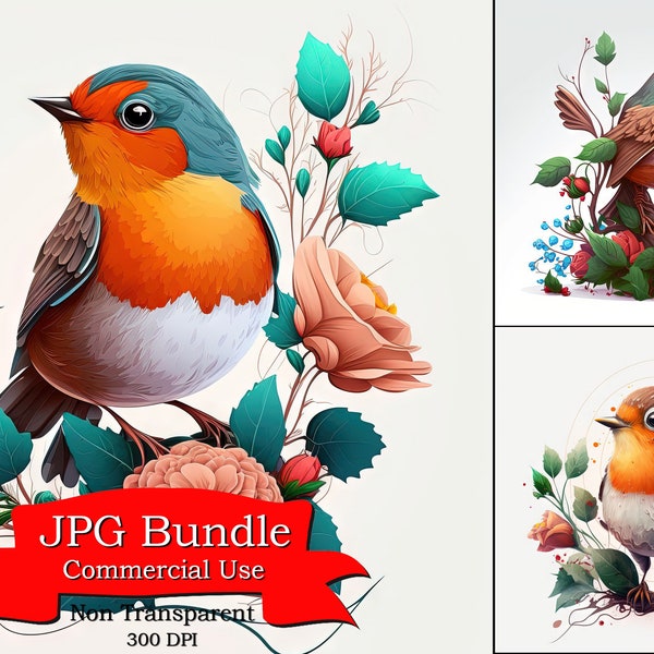 Robin Clipart, Cute Robin, Winter Hat, Scarf, Cartoon Clipart, Vivid Colors, Charming Clipart, Digital Download, Commercial Use,300 DPI