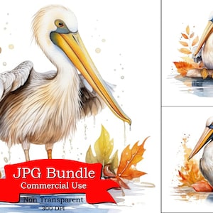 Pelikan Herbst Fluss Clipart, Pelikan Vogel Clipart, digitaler Aufkleber für Nummernschildrahmen, digitaler Aufkleber für den Juni