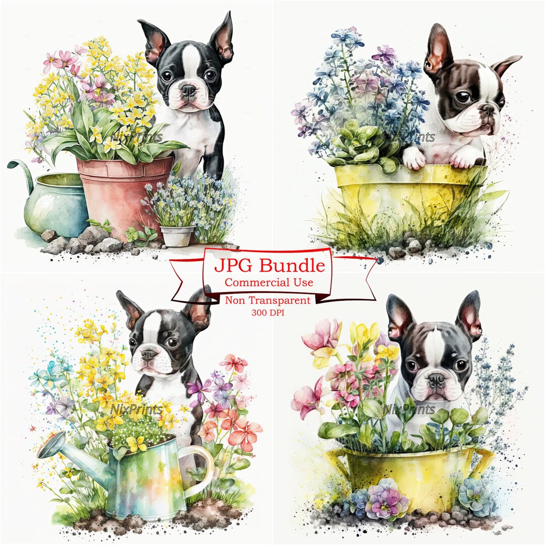 Boston Terrier Clipart, Spring Flowers & Gardening Theme, 300 DPI High ...