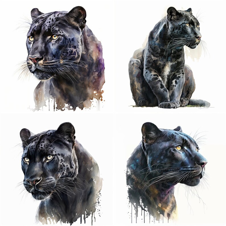 Fierce Panther Watercolor Clipart Wild Animal Illustration - Etsy