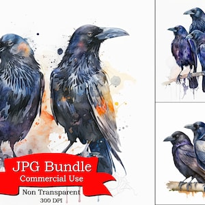 Aquarell Krähen Clipart, Raben Vogel Clipart, Natur-inspirierte Tierwelt Kunstwerk, 300 DPI, undurchsichtig digitaler Download, kommerzielle Nutzung