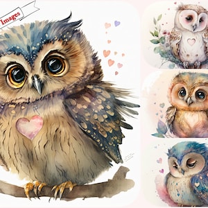 Niedliche Eule Clipart Bundle zum Basteln und Deco, hochauflösende, JPG-Dateien für Crafting und Sublimation, kommerzielle Nutzung, sofortiger Download.