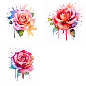 Rose Paint Splash Watercolor Digital Clipart Digital Paper Crafting ...