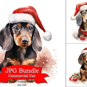 Teckel clipart, hond clipart, kerst clipart, kerstman jurk, witte achtergrond clipart, digitale sticker voor glazen beker