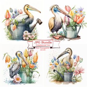 Pelican Clipart, Fiori primaverili e tema del giardinaggio, Download di immagini digitali, 300 DPI, Uso commerciale, JPG di alta qualità, Nursery Wall Art
