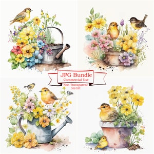 Kanarienvogel Clipart, Frühlingsblumen, hochwertige JPGs, schöne digitale Bilder für kommerzielle Entzückende Cliparts, digitale Bilder 300 dpi.