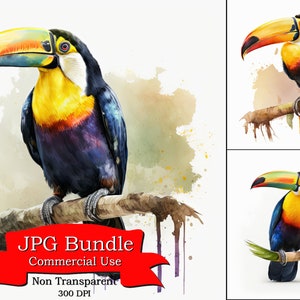 Toucan Watercolor Clipart, Tropical Bird Art, Digital Download, Non-Transparent Background, Commercial Use, Exotic Wildlife Clipart