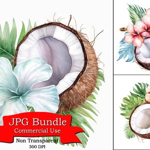 Pastel Hawaii Coconut Tropical Flower Design Clipart, Kunst voor mountainbiker, kunst voor jou, kunst aan de muur voor badkamer, digitale sticker voor toilet