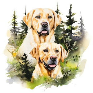 Gelbe Labradors Clipart, Schwarze Labradors Clipart, Zwillinge Labradors in Wildnis Clipart, Labradors Im Badezimmer, Labradors In Bergen