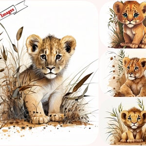 Baby leeuw cub illustraties Clipart bundel-Super kwaliteit digitale afbeeldingen downloaden voor commercieel gebruik en persoonlijk gebruik .forest dierlijke clipart