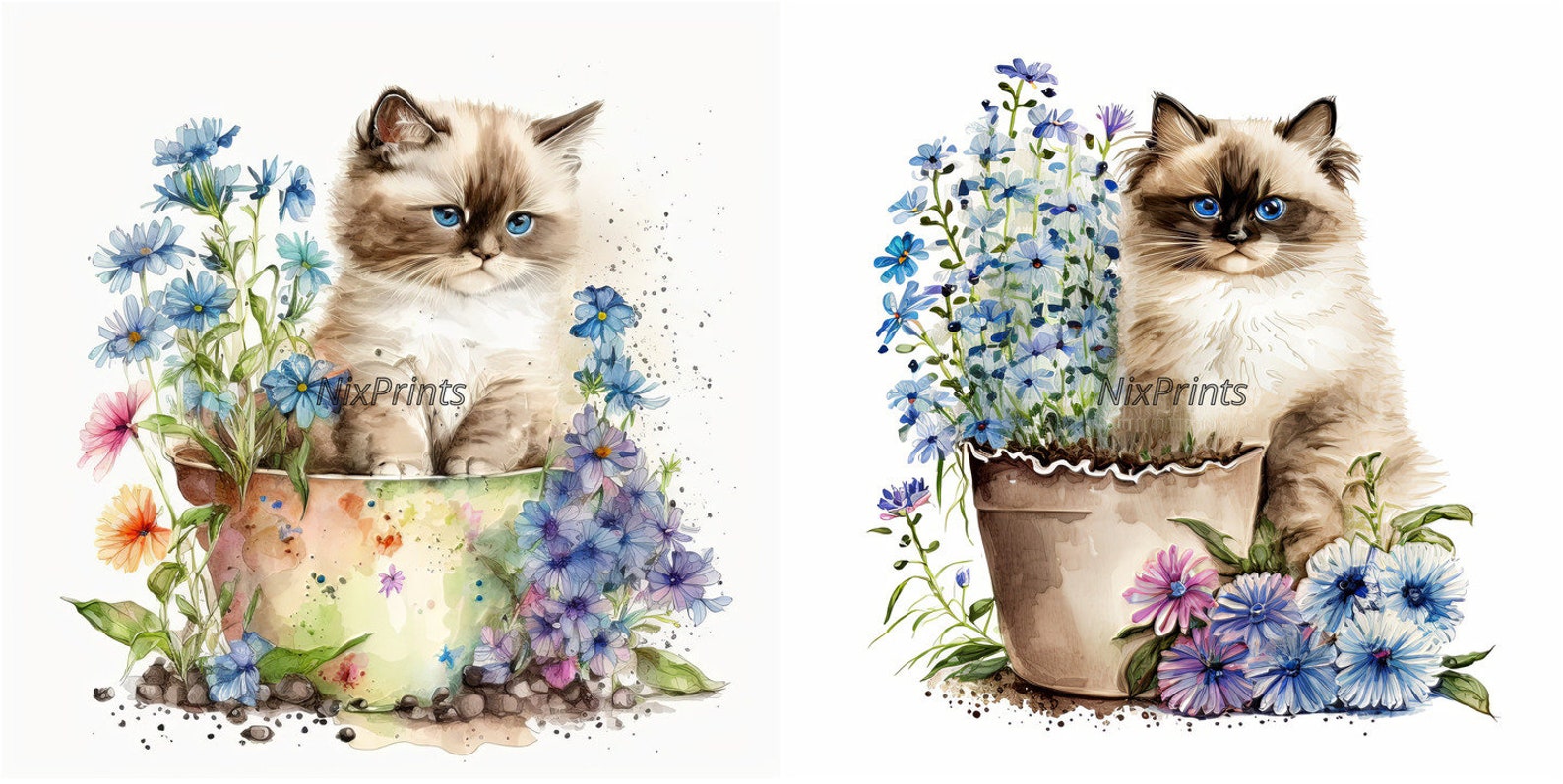 Ragdoll Cat Clipart and Spring Flowers Digital Images for Commercial ...