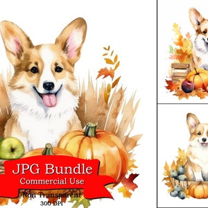 Süße Corgis Ernte Essen Herbst Saison Aquarell Clipart, Kürbis Clipart, Hund Clipart, Design für Tassen, Hintergrund für Becher