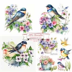 Graceful Swallows clipart , Spring Swallow Bird Clipart Set, A Symbol of Freedom and Hope 16 High quality 300 dpi jpg  ,Digital Watercolor