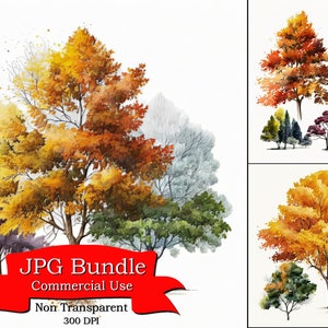 Herbst Bäume Clipart: Aquarell Herbst Wald Clipart, Nicht-transparenter Hintergrund, Saisonale Landschaft-Themed Designs kommerzielle Nutzung