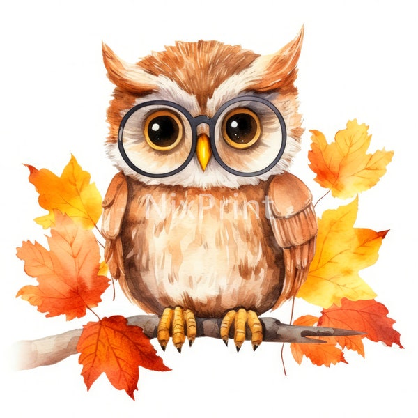 Owl Fall Foliage Clipart, Bird Clipart, Digital Sticker For Designer, Wall Art For Foyer, Jpg Prints, Clipart For Keychain