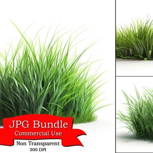 Grass Clipart: A Delicate and Naturalistic Artistic Element for Your Projects, Commercial Use, 300 DPI,Digital Planner, Junk Journaling