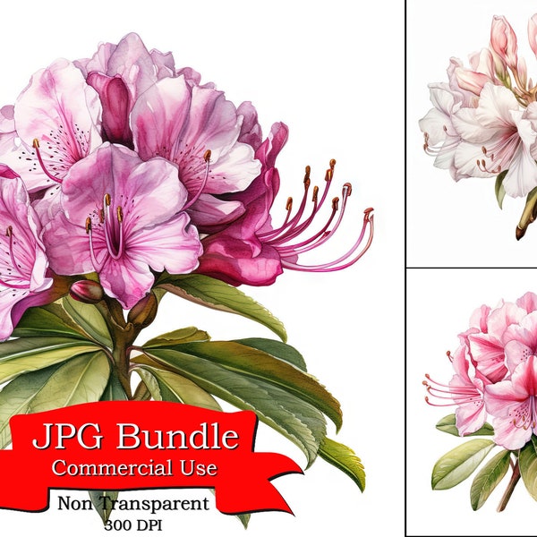 Rhododendron Flower Watercolor Clipart, White Background, JPG Format ,Digital Paper Crafting, Digital Planner, POD Designs Bundle.