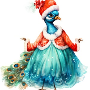 Clipart pavone, clipart di Natale, clipart di Babbo Natale, clipart di Babbo Natale, clipart acquerello, adesivo digitale per donne, immagini per cappelli