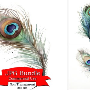 Gedetailleerde Peacock Feather aquarel clipart, digitale papier Crafting, digitale planner, POD ontwerpen bundel, commercieel gebruik, 300 DPI.