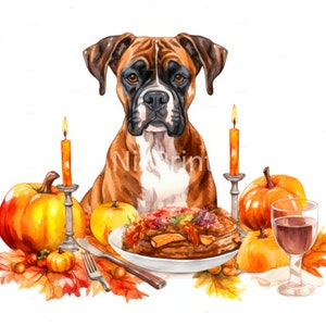 May include: A watercolor painting of a brown and white boxer dog sitting at a Thanksgiving table with a plate of food, pumpkins, candles, and a glass of wine.