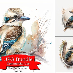 Puede incluir: Ilustraciones en acuarela de kookaburras posados en ramas. Las aves presentan plumaje marrón, azul y blanco, con una representación detallada de plumas y picos. La imagen incluye el texto "JPG Bundle Commercial Use Non Transparent 300 DPI".