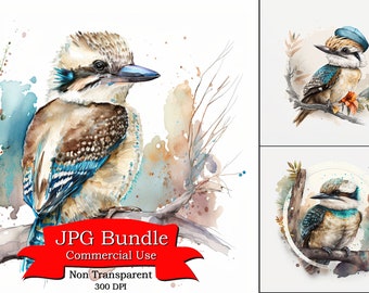 Kookaburra Wilderness Survival Clipart: Iconic Laughing Birds, Australian Native, 300 DPI, Non-Transparent Background, Commercial Use