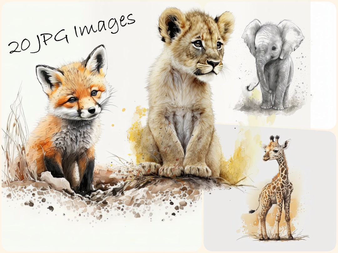 Watercolor Animal Clipart Bundle Safari , Safari Bundle, JPG High ...