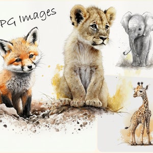Watercolor Animal Clipart Bundle Safari , Safari Bundle, JPG High ...