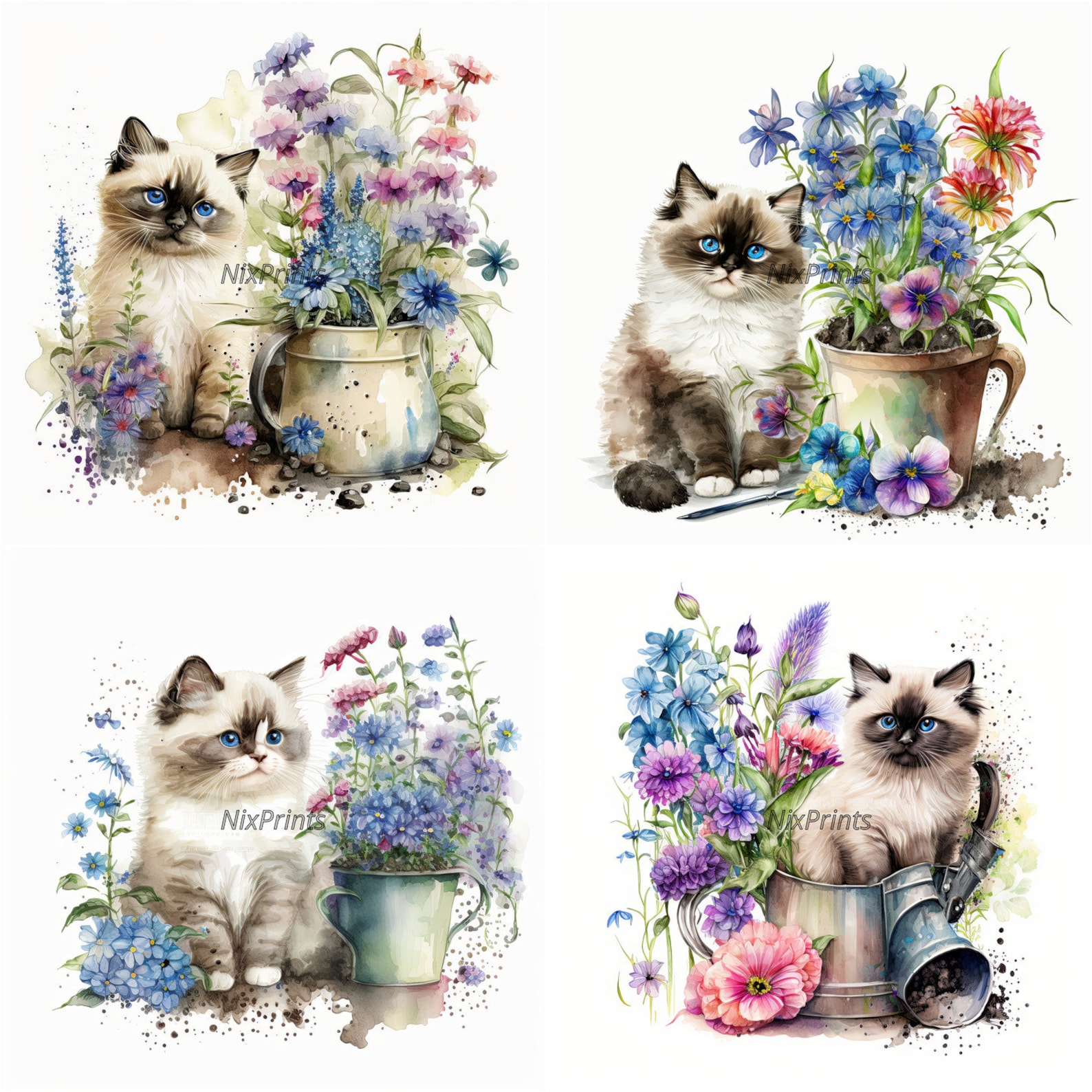 Ragdoll Cat Clipart and Spring Flowers Digital Images for Commercial ...