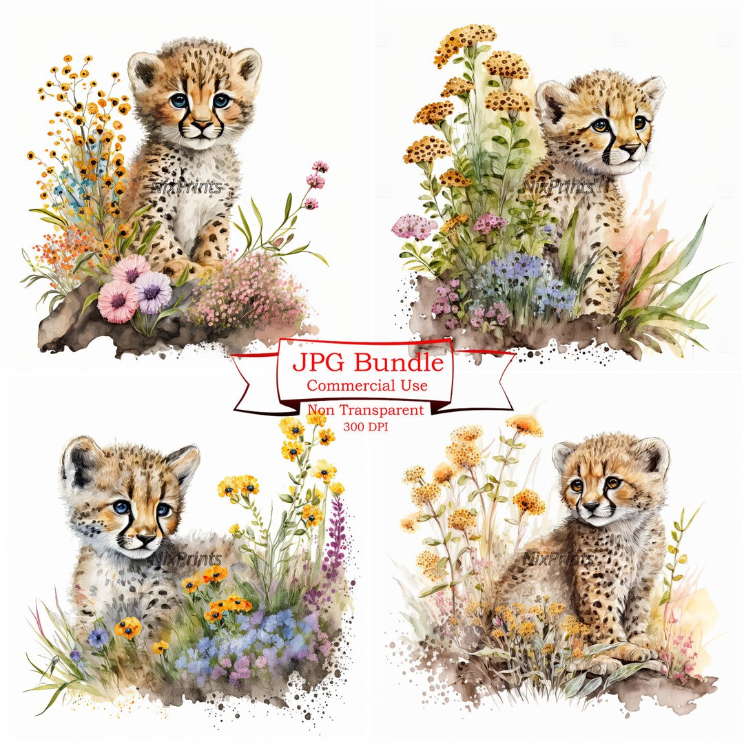 Cheetah Cub Clipart, Spring Flowers and Gardening Clipart, Cheetah ...
