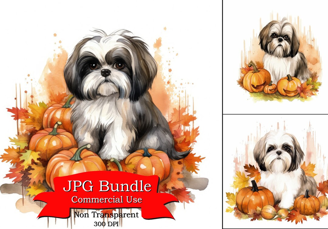 Cute Shih Tzu Pumpkin Patch Watercolor Clipart, Halloween, Digital ...