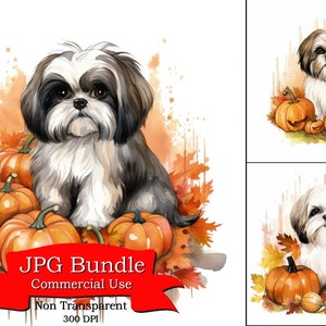 Mignon Shih Tzu citrouille Patch aquarelle Clipart, Halloween, autocollant numérique pour guitare, Art pour principal, Art mural pour salle de bain enfants