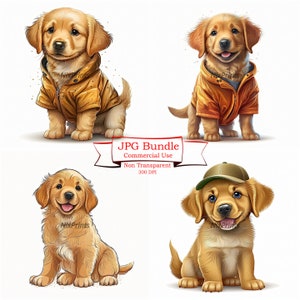 Golden Retriever Clipart,English Golden Retriever, digital Download ,Crafting , Dog Clipart  Digital Planner, Junk Journaling, Wall art.