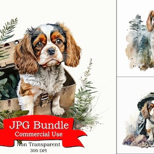 Cavalier King Charles Spaniel Wilderness Survival Dog Clipart ,Loyal Companions,300 Dpi, High Resolution, Non Transparent , Commercial Use