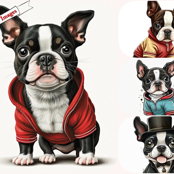 Boston Terrier Dog Clip Art and Digital Images for Commercial Use - High Quality JPG Downloads high quality images, printable phots.