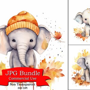 Leuke olifant herfst gebladerte herfst seizoen aquarel clipart, kunst aan de muur voor terras, kunst voor vrouwen, achtergrond voor Memorial shirt