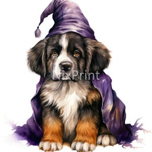 Saint Bernard Puppy in Witch Costume Clipart, Halloween Clipart, St Bernard In Hat Clipart, Dog Painting, Dog Printable Wall Art,