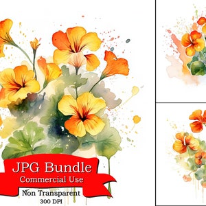 Nasturtium Paint Splash Acuarela Digital Clipart Digital Paper Crafting, Digital Planner, POD Designs Bundle, Commercial Use, 300 DPI