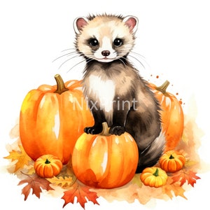Ferret Pumpkin Patch Clipart, ontwerpen voor 40 Oz Tumbler, achtergrond voor png