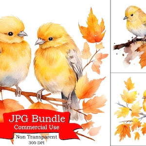 DH-Cute Canary Fall Foliage Fall Season Aquarel Clipart, Clip Art voor Post It, Wall Art voor een woonkamer, ontwerpen voor gebleekte shirts