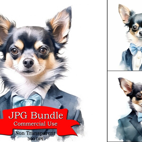 Rear View Mirror Picture Frames Etsy