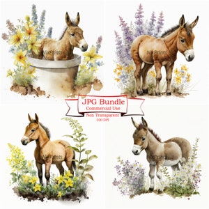 Frühling Baby Maultier Fohlen Clipart Set - Hochwertige digitale Bild Downloads - 300 dpi - Kommerzielle Nutzung - Kinderzimmer Dekor - Kartenherstellung