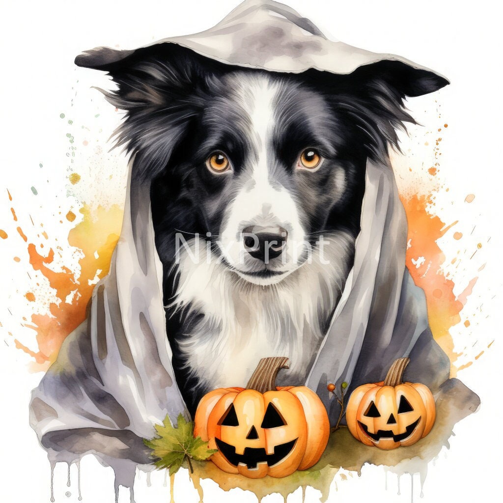 Collie専用購入ページ Store — COLLIFLOWER, LLC