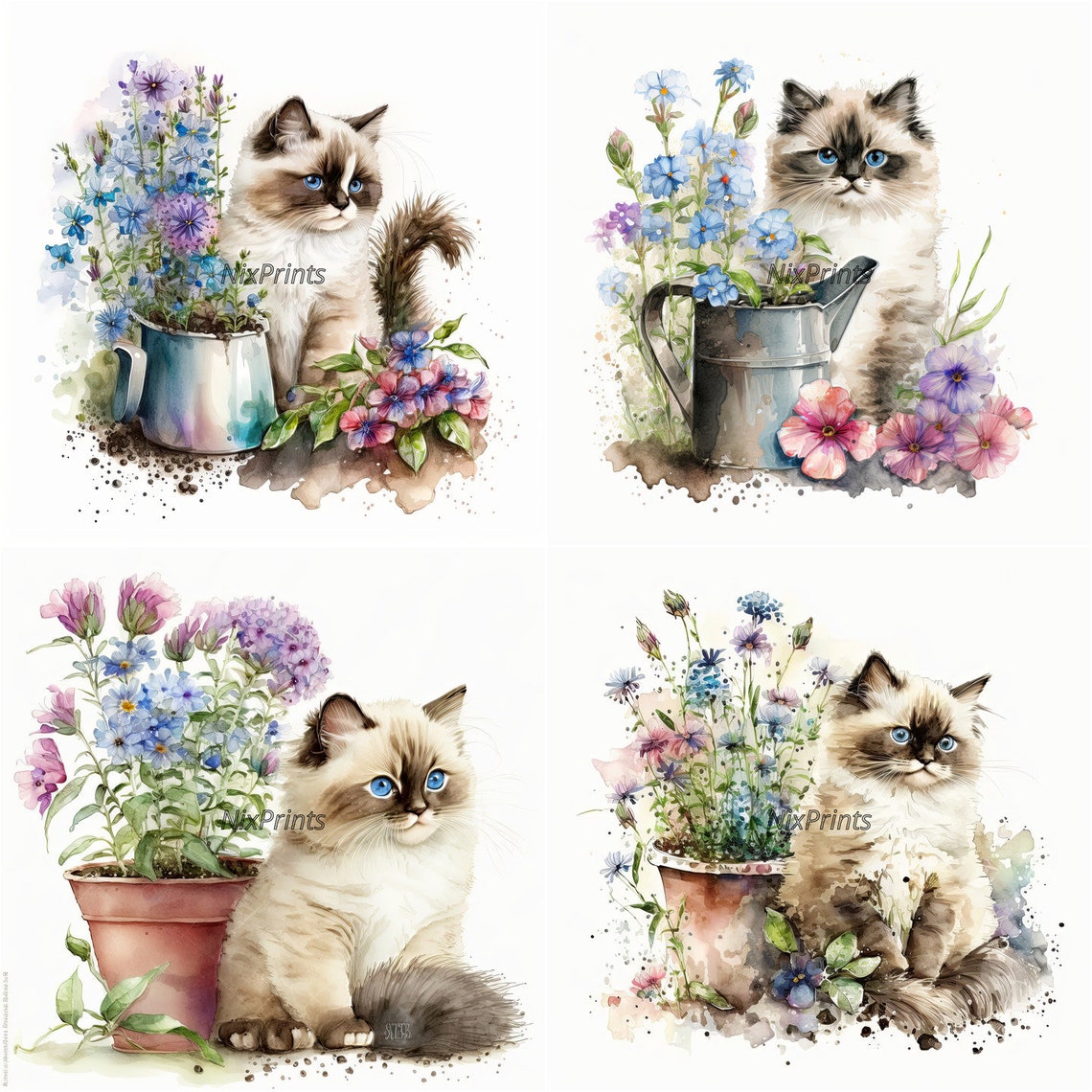 Ragdoll Cat Clipart and Spring Flowers Digital Images for Commercial ...