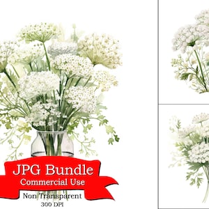 Queen Anne&#39;s Lace Bouquet Watercolor Digital Clipart  Digital Paper Crafting, Digital Planner, POD Designs Bundle, Commercial Use,300 DPI