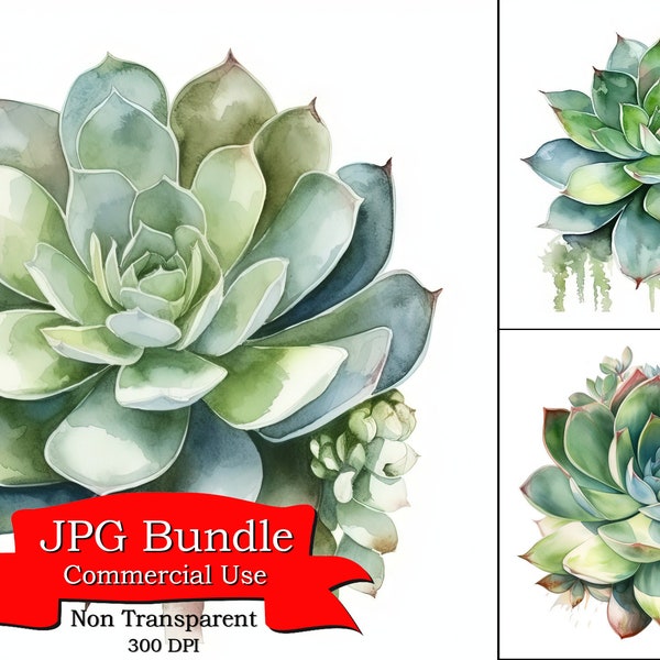 Exotic Green Succulent Watercolor Clipart , Desert Life, Digital Paper Crafting, Digital Planner, POD Designs Bundle, Commercial Use,300 DPI