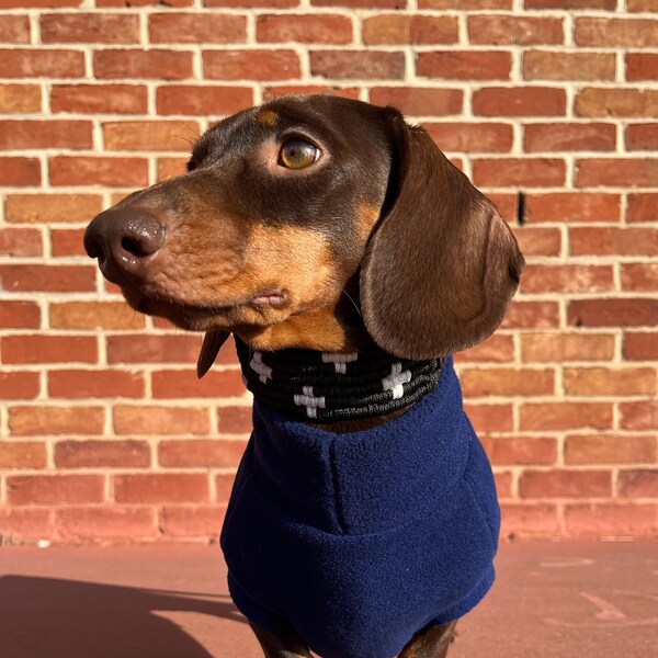 Hand-Made Woven Dog Collar - "Midnight Sky"